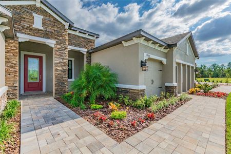 New construction Single-Family house 712 Estates Blvd, Tarpon Springs, FL 34689 - image