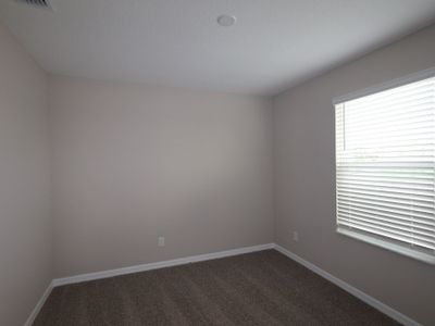 New construction Single-Family house 3189 Fall Harvest Dr, Zephyrhills, FL 33540 plan Castellana - image 12