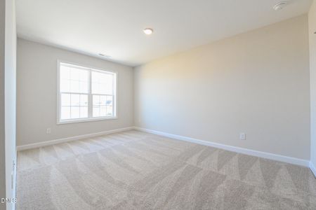New construction Single-Family house 105 Bella Pl, Unit Lot 8, La Grange, NC 28551 - image 18