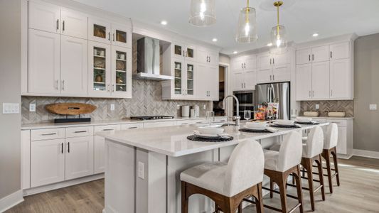 New construction Single-Family house 420 Douglas Hill Dr, Lady Lake, FL 32159 plan Jade - image 9