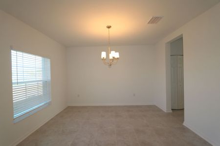 New construction Single-Family house 38350 Tobiano Loop, Dade City, FL 33525 Cabo- photo 161 161