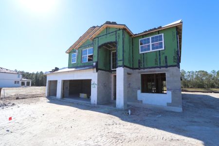 New construction Single-Family house 1787 Drummond Pt, Zephyrhills, FL 33541 Sonoma II- photo 37 37