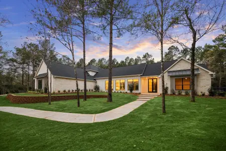 New construction Single-Family house 25179 Balmorhea Wy, Montgomery, TX 77316 - image