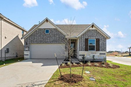 New construction Single-Family house 1029 Smudge Wy, Georgetown, TX 78633 plan Cartwright - image