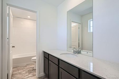 Newlin Crossing: The Pioneer Collection 4