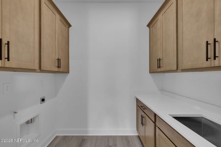 New construction Single-Family house 166 Blue Hampton Dr, Nocatee, FL 32081 plan Silver - image 11