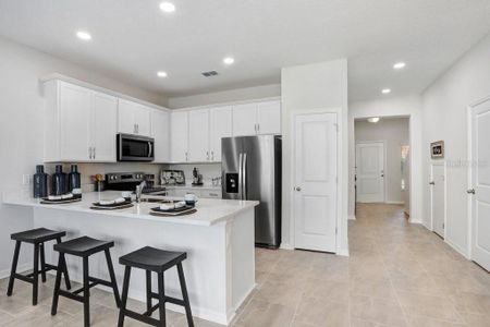 New construction Townhouse house 11718 Blackbrook Ct, Seffner, FL 33584 null- photo 10 10