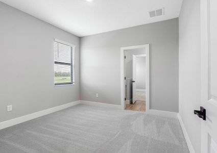 New construction Single-Family house 13408 Lake Gallagher Dr, Dover, FL 33527 plan Siesta Key - image 8