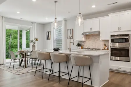 New construction Single-Family house 3010 River Falls Dr, Tega Cay, SC 29708 plan Elizabeth - image 15