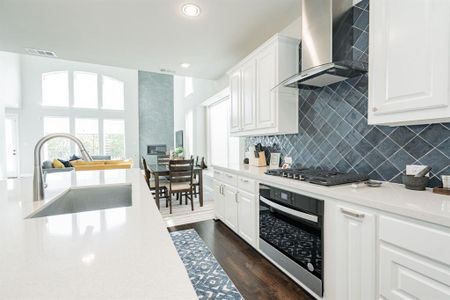 New construction Single-Family house 1725 Frisco Hills Blvd, Little Elm, TX 75068 null- photo 5 5