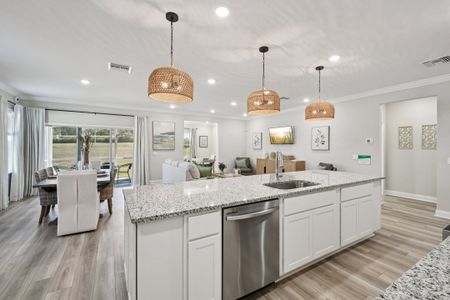 New construction Single-Family house 11 Pheasant Dr, Palm Coast, FL 32164 plan Drexel - image 15