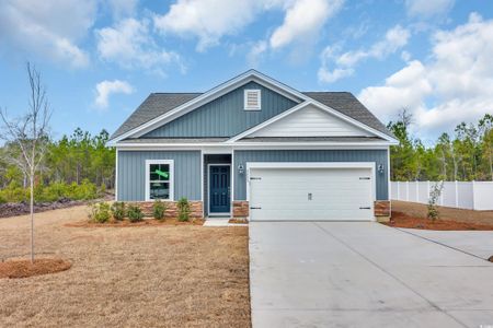 New construction Single-Family house 288 Palmetto Sand Lp, Conway, SC 29527 - image