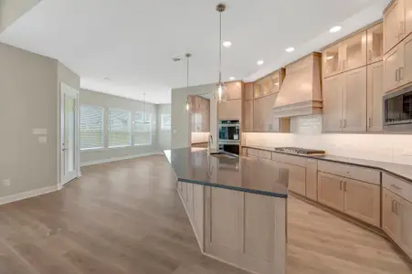 New construction Single-Family house 20515 Via Mimosa Dr, Cypress, TX 77433 plan The Dandelion - image 9