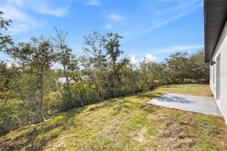 New construction Single-Family house 16609 SW 45th Cir, Ocala, FL 34473 - image