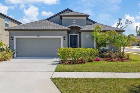 New construction Single-Family house 1050 Davis Heather Cir, Seffner, FL 33584 null- photo 0