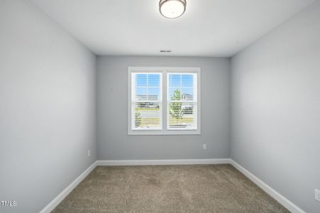 New construction Single-Family house 3901 Alpha Ct, Bailey, NC 27807 - image 20