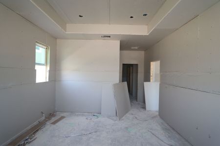 New construction Single-Family house 31205 Denham Ridge Ln, Wesley Chapel, FL 33545 Santa Monica- photo 51 51