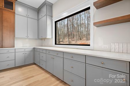 New construction Single-Family house 4459 Brancer Ln, Lincolnton, NC 28092 - image 10