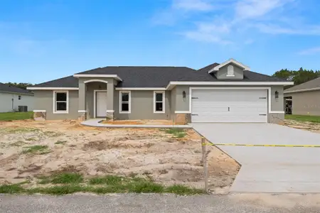 New construction Single-Family house 5441 Chestnut Ridge Rd, Dade City, FL 33523 - image