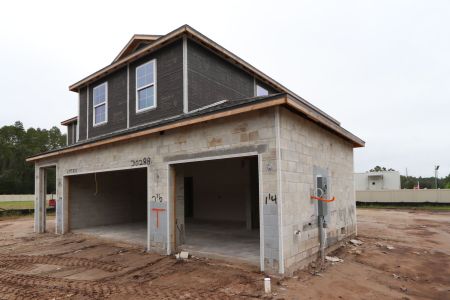 New construction Single-Family house 20288 Oriana Loop, Land O' Lakes, FL 34638 Coronado II- photo 40 40