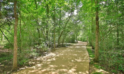 New construction Single-Family house 206 Brecon Buff Dr, Willis, TX 77318 plan Capri II - image