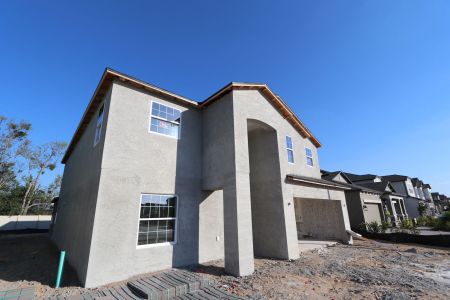 New construction Single-Family house 12134 Hilltop Farms Dr, Dade City, FL 33525 Malibu- photo 85 85