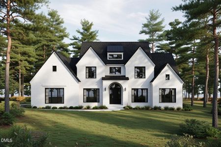 New construction Single-Family house 8916 Morning Song Ct, New Hill, NC 27562 - image