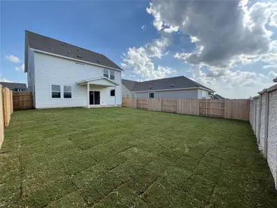 New construction Single-Family house 301 Wrangell Wy, Dripping Springs, TX 78620 plan Colton - image