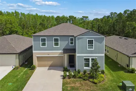 New construction Single-Family house 10065 Gentle Rain Dr, Land O' Lakes, FL 34638 - image