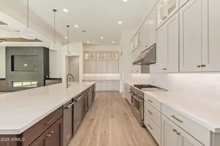 New construction Single-Family house 1633 E Minton St, Mesa, AZ 85203 - image 4