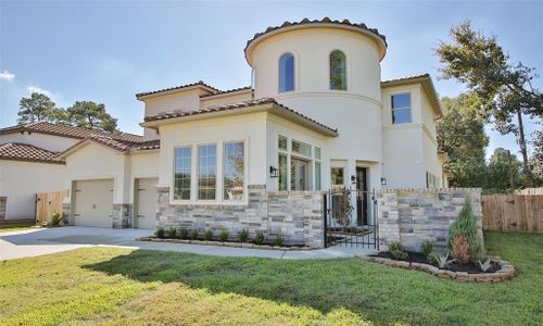 New construction Single-Family house 1487 Torrijos Court, Shenandoah, TX 77384 - photo 2 2