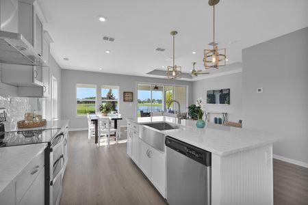 Landing at Olde Florida by Drees Custom Homes in St. Augustine - photo 39 39