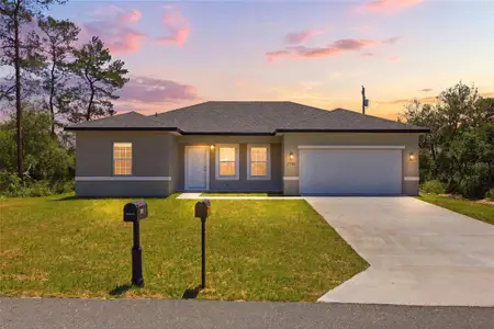 New construction Single-Family house 2780 Sw 162Nd Ln, Ocala, FL 34473 - image
