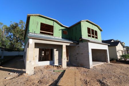 New construction Single-Family house 12008 Hilltop Farms Dr, Dade City, FL 33525 Alenza- photo 13 13