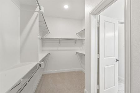 New construction Single-Family house 213 Yaupon Holly St, Lavon, TX 75166 plan Nueces - image 8