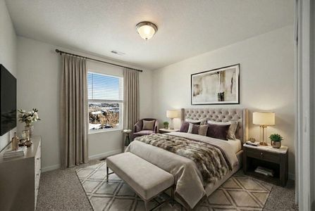 New construction Single-Family house 9673 Pinpoint, Fountain, CO 80817 plan Olive - image 12