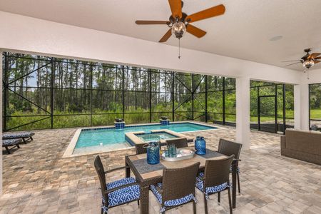 Creek Ridge Preserve by Homes by WestBay in Lithia - photo 18 18