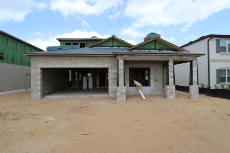 New construction Single-Family house 38413 Pindos Dr, Dade City, FL 33525 Picasso Bonus- photo 24 24