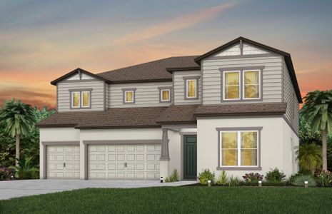 New construction Single-Family house 20876 Drake Elm Dr, Land O' Lakes, FL 34638 null- photo 1 1