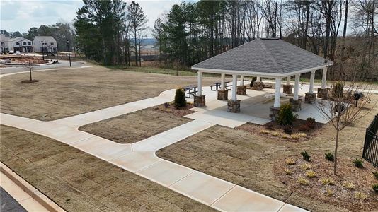 New construction Single-Family house 471 Corinth Dr, Bethlehem, GA 30620 Vega- photo 20 20