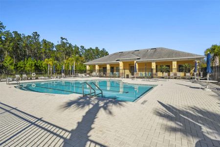 New construction Single-Family house 19632 Fort King Run, Brooksville, FL 34601 Elmwood- photo 79 79