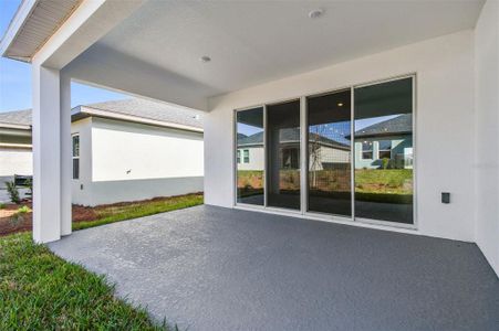 New construction Single-Family house 5938 Bristle Oak St, Mount Dora, FL 32757 null- photo 28 28