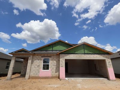 New construction Single-Family house 12304 Stirrup Dr, Dade City, FL 33525 plan Elmhurst Bonus - image