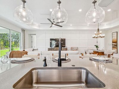 New construction Single-Family house 11324 Striped Bass Ct, New Port Richey, FL 34654 - image 16