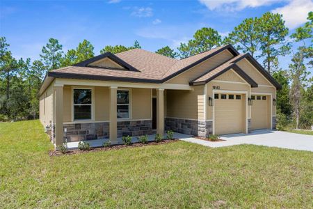 New construction Single-Family house 16143 Penn State Rd, Weeki Wachee, FL 34614 - image