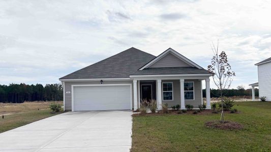 New construction Single-Family house 152 Ashworth Dr, Tabor City, NC 28463 plan ARIA - image