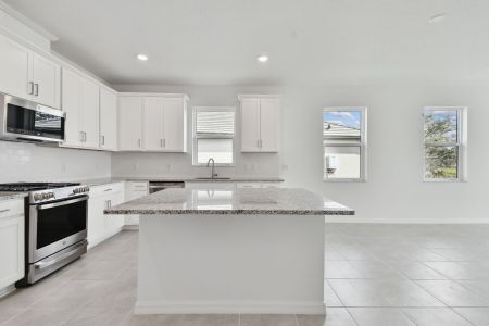 New construction Single-Family house 18036 Cherished Loop, Lakewood Ranch, FL 34211 Topaz - Villas- photo 18 18