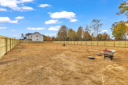 New construction Single-Family house 30 Barhams Mill Pond Way, Wendell, NC 27591 Cambridge- photo 10 10