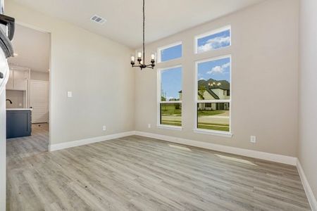 New construction Single-Family house 3940 Wilderness Dr, Prosper, TX 75078 - image 15