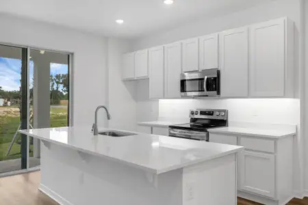 New construction Townhouse house 1125 Red Buckeye Ct, Deland, FL 32720 plan Abbey - image 6